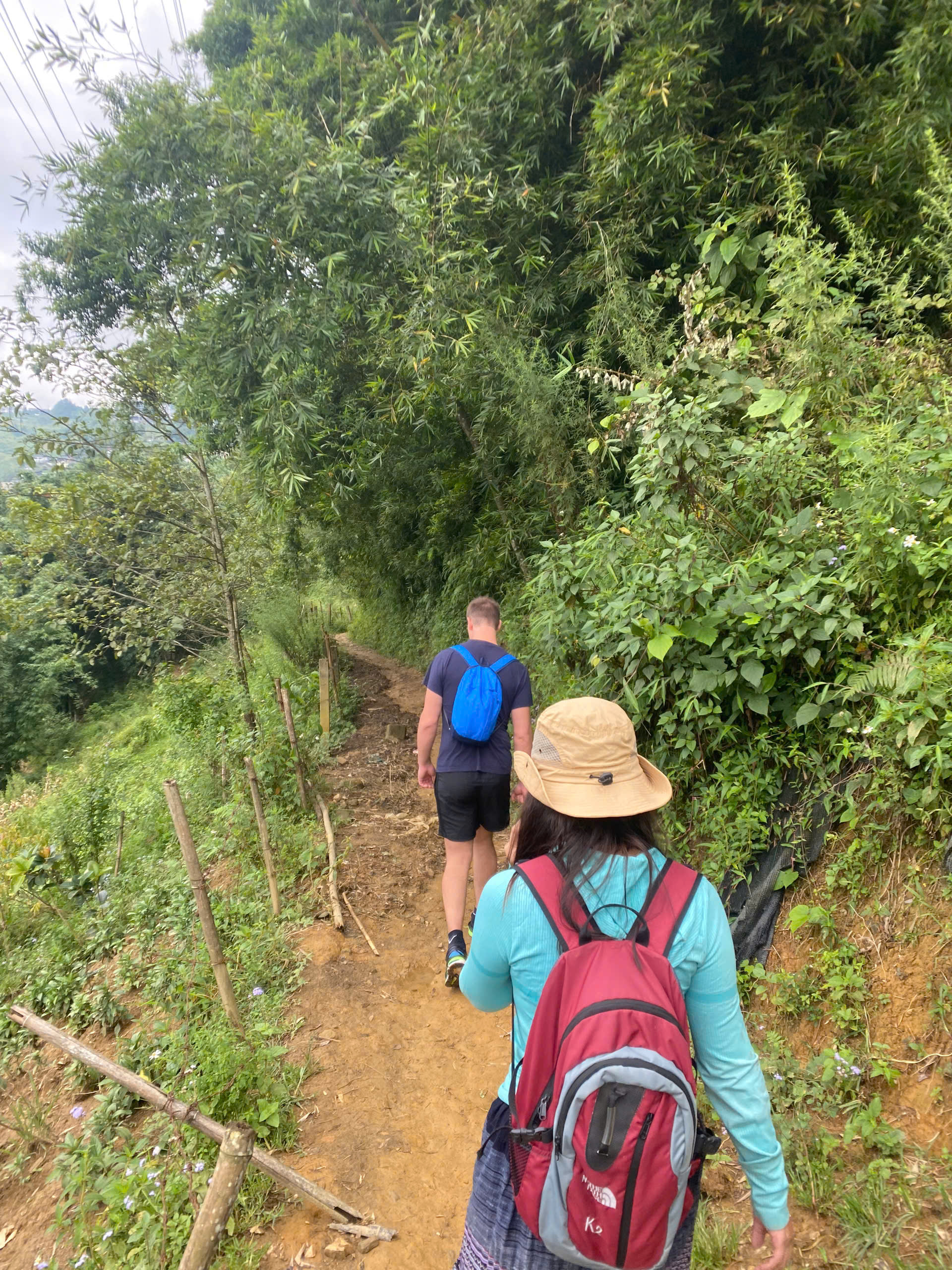 2-Day Trekking Tour from Sapa to Y Linh Ho, Lao Chai, Ta Van, Giang Ta Chai & Su Pan